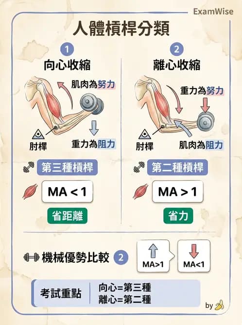 物治 - 關節運動學與生物力學計算 - AI 圖文解析預覽