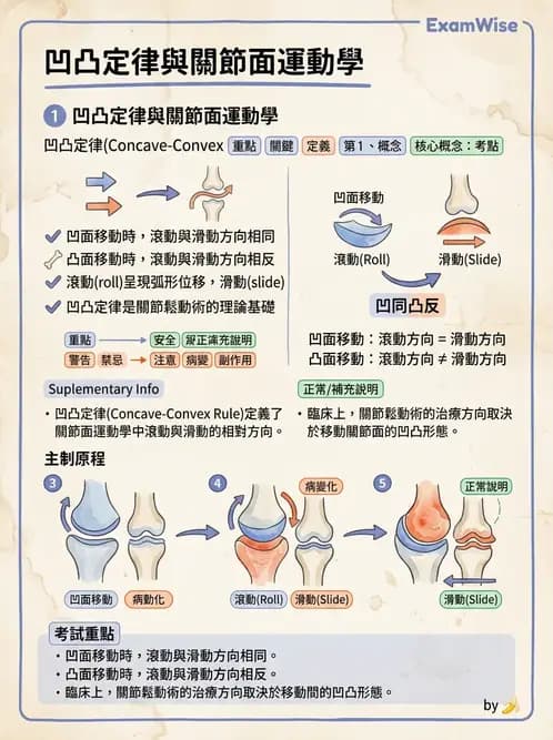 物治 - 關節運動學與生物力學計算 - AI 圖文解析預覽