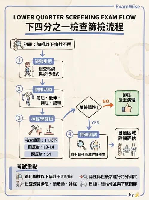 物治 - 骨科與外科疾病 - AI 圖文解析預覽