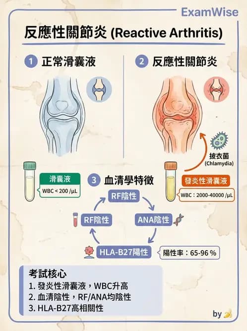 物治 - 內科疾病概論 - AI 圖文解析預覽