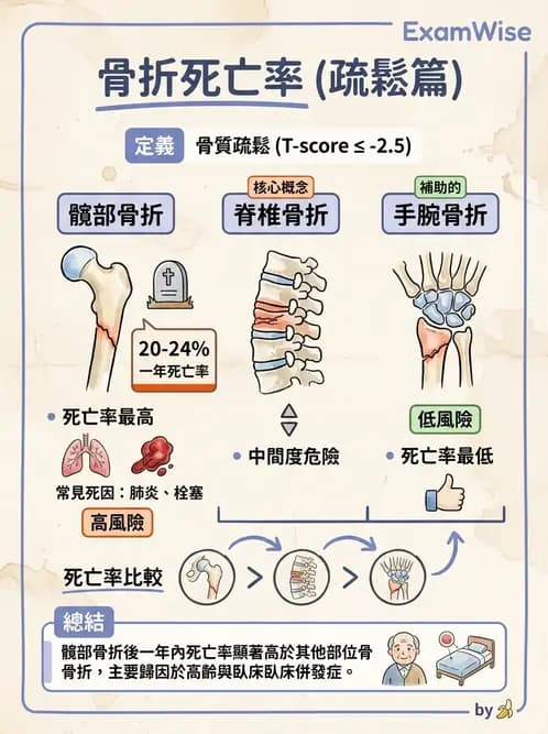 物治 - 骨科與外科疾病 - AI 圖文解析預覽