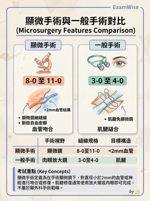 物治 - 骨科與外科疾病 - AI 圖文解析預覽