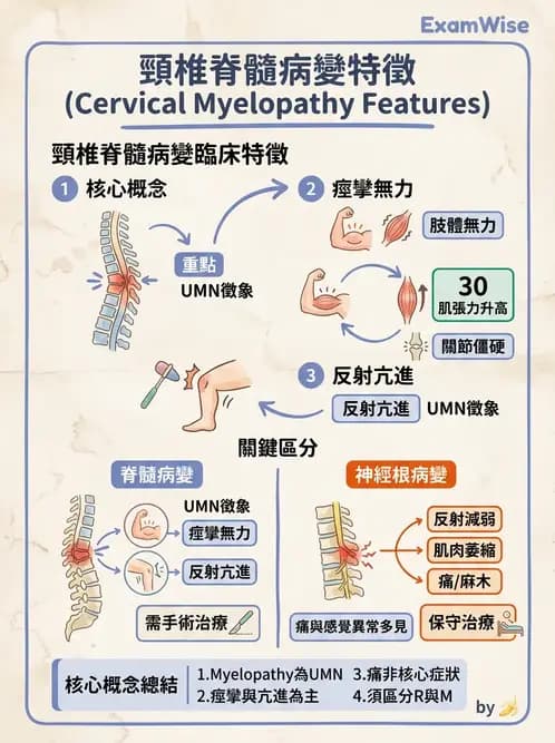 物治 - 脊髓與周邊神經疾病 - AI 圖文解析預覽
