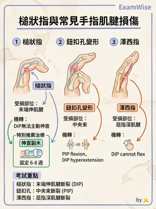 物治 - 骨科與外科疾病 - AI 圖文解析預覽
