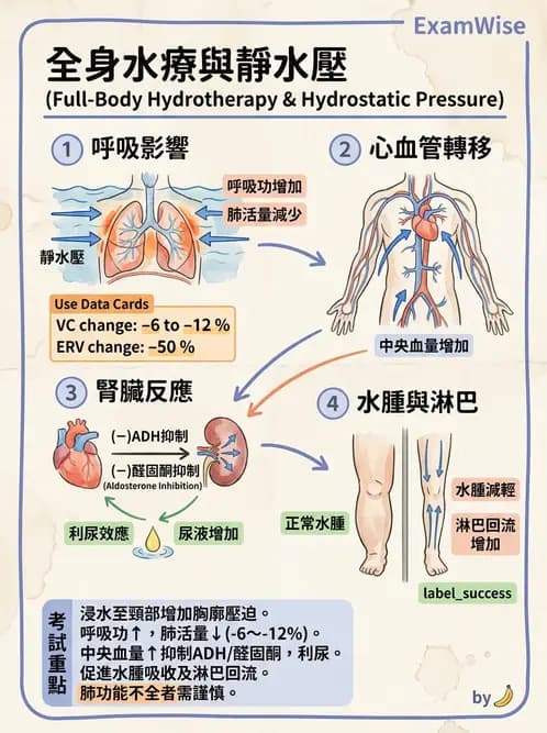 物治 - 水療 - AI 圖文解析預覽