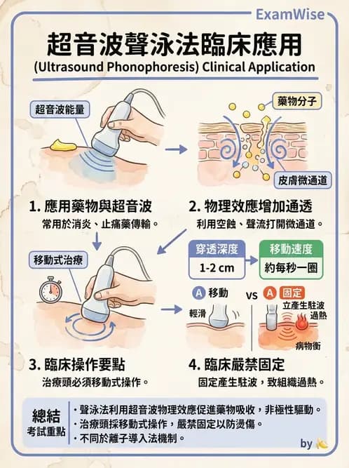 物治 - 超音波 - AI 圖文解析預覽