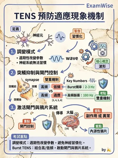 物治 - 經皮電刺激與電療基礎 - AI 圖文解析預覽
