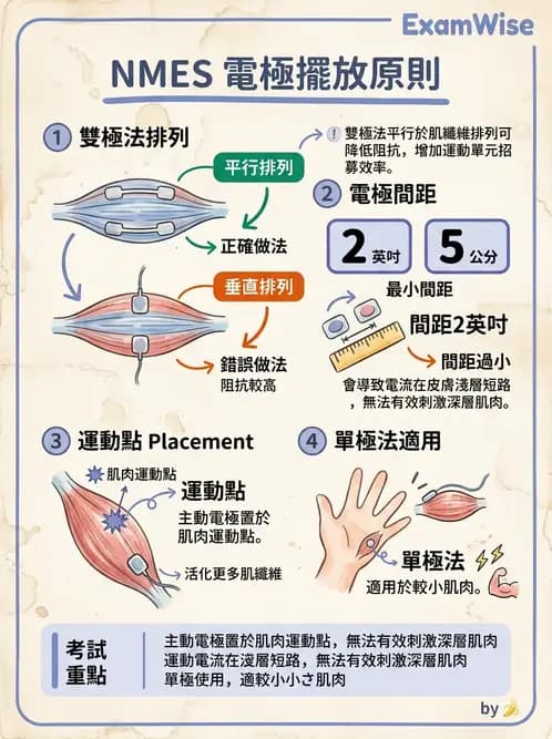物治 - 神經肌肉電刺激 - AI 圖文解析預覽