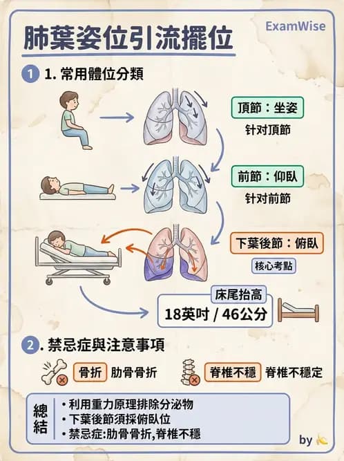物治 - 物理因子特殊應用 - AI 圖文解析預覽