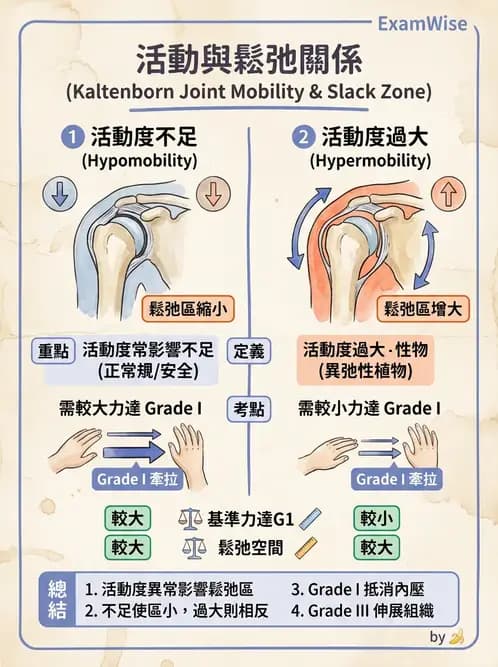 物治 - 鬆動術分級理論 - AI 圖文解析預覽
