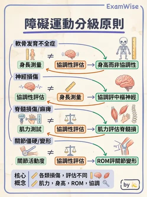 物治 - 功能評估與再教育 - AI 圖文解析預覽