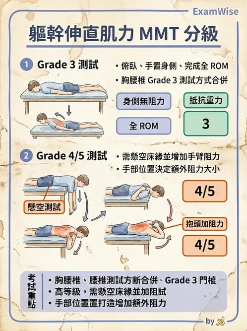 物治 - MMT通則、頭頸與軀幹 - AI 圖文解析預覽