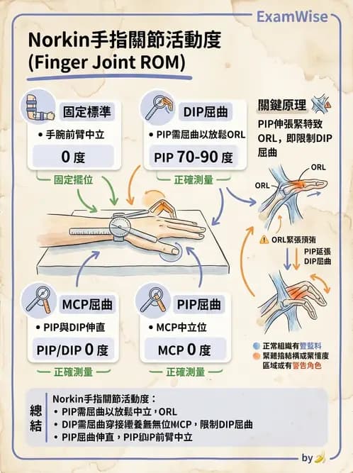 物治 - 上肢關節活動度 - AI 圖文解析預覽