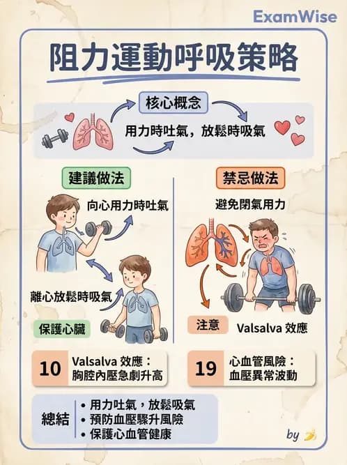 物治 - 肌耐力與神經肌肉適應 - AI 圖文解析預覽