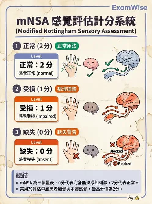 物治 - 神經物理治療評估工具 - AI 圖文解析預覽