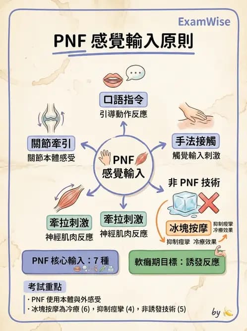 物治 - 腦中風治療手法應用 - AI 圖文解析預覽