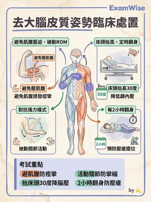 物治 - TBI LOCF分級與復健 - AI 圖文解析預覽