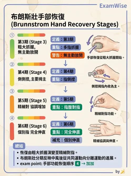 物治 - 腦中風動作評估與分期 - AI 圖文解析預覽
