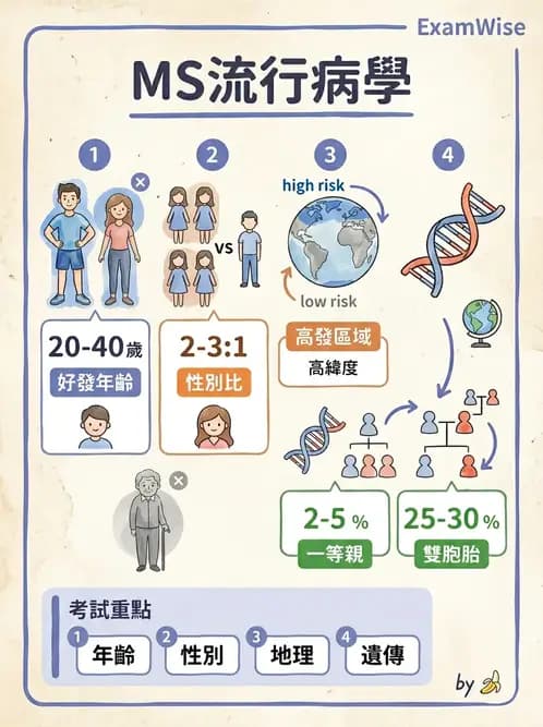 物治 - 多發性硬化症物理治療 - AI 圖文解析預覽