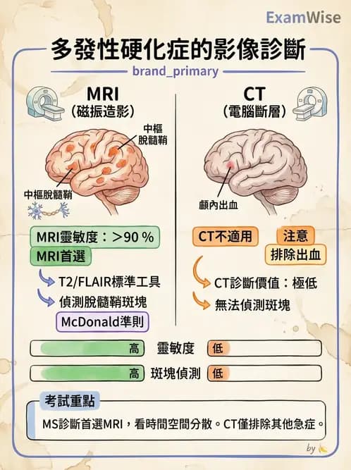物治 - 多發性硬化症物理治療 - AI 圖文解析預覽