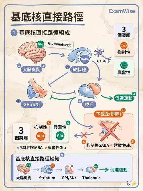 物治 - 動作控制理論 - AI 圖文解析預覽