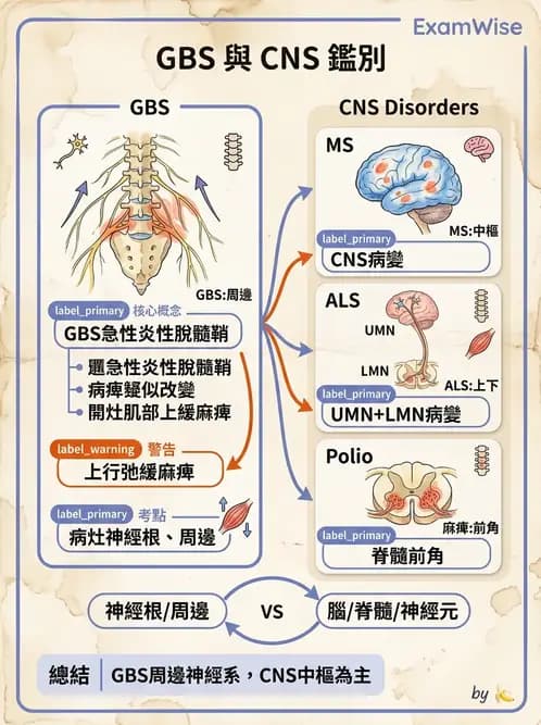 物治 - 神經肌肉疾病 - AI 圖文解析預覽