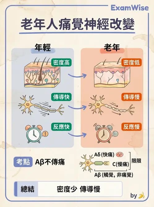 物治 - 衰弱肌少症與長期照護 - AI 圖文解析預覽