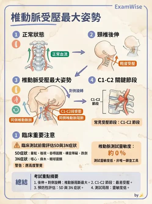 物治 - 頸椎評估與病理 - AI 圖文解析預覽