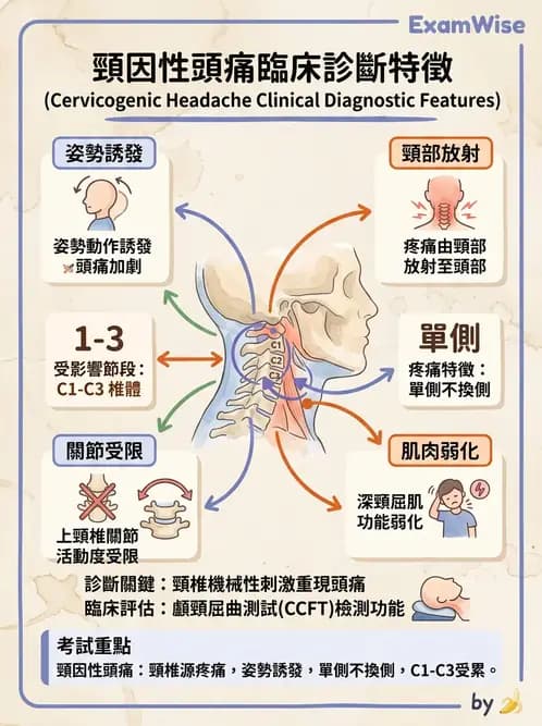 物治 - 頸椎評估與病理 - AI 圖文解析預覽