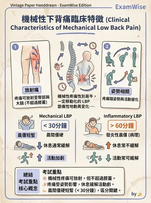 物治 - 腰椎椎間盤與脊椎狹窄 - AI 圖文解析預覽
