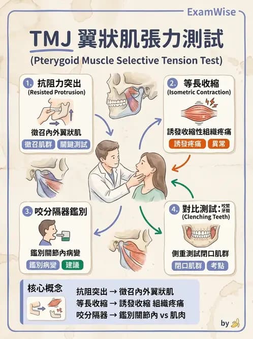 物治 - 顳頷關節 - AI 圖文解析預覽