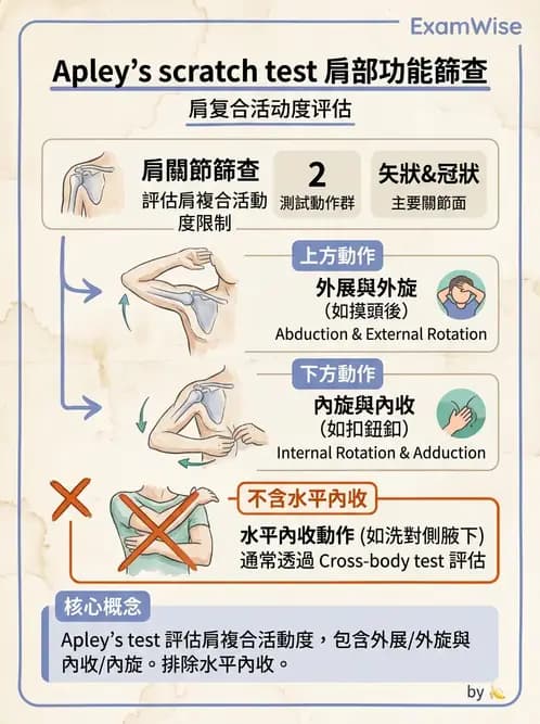 物治 - 肩關節夾擠與旋轉肌袖 - AI 圖文解析預覽