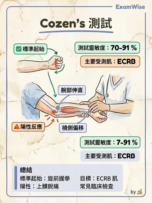 物治 - 肘及前臂關節 - AI 圖文解析預覽