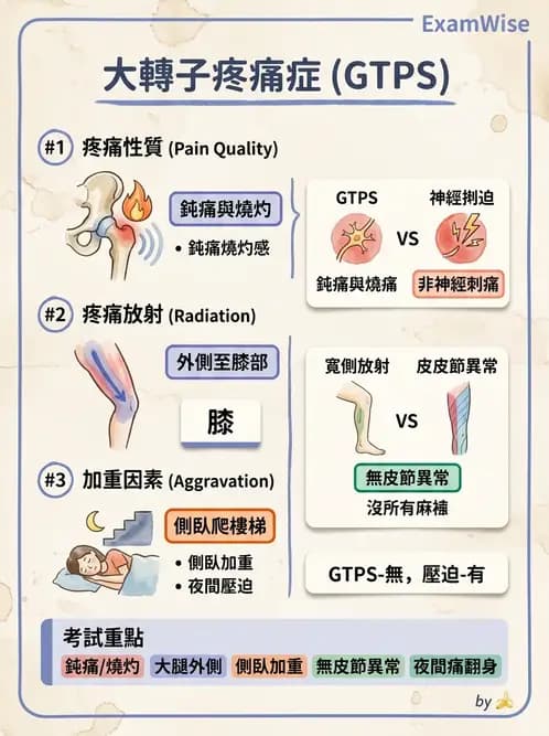 物治 - 髖關節病變與手術復健 - AI 圖文解析預覽
