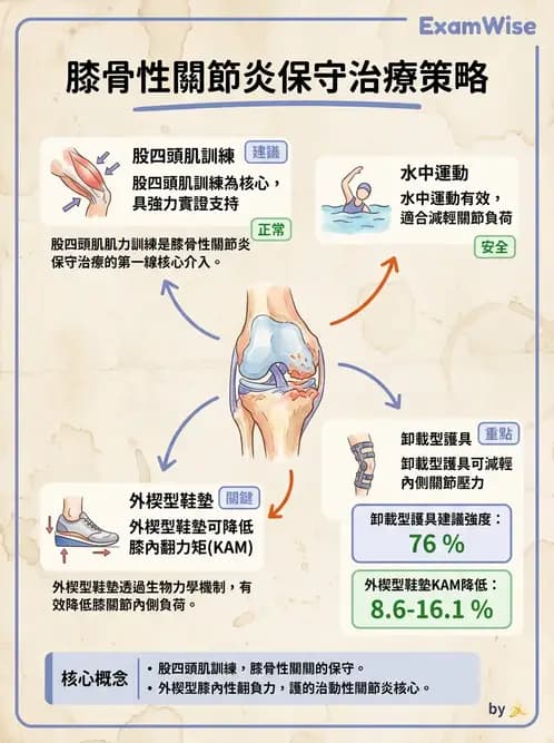 物治 - 膝關節生物力學與退化性疾病 - AI 圖文解析預覽