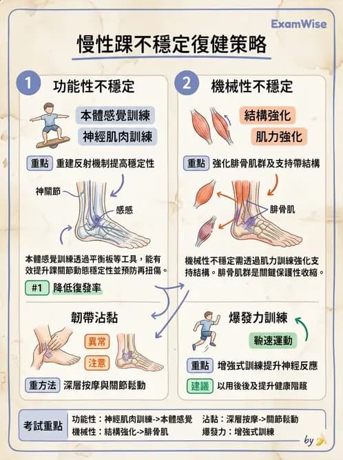 物治 - 踝關節損傷與復健 - AI 圖文解析預覽