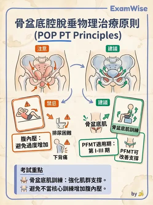 物治 - 女性健康 - AI 圖文解析預覽