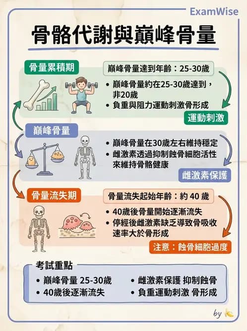 物治 - 女性健康 - AI 圖文解析預覽