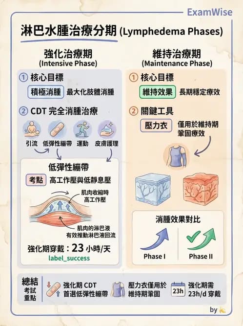 物治 - 皮膚與淋巴系統物理治療 - AI 圖文解析預覽