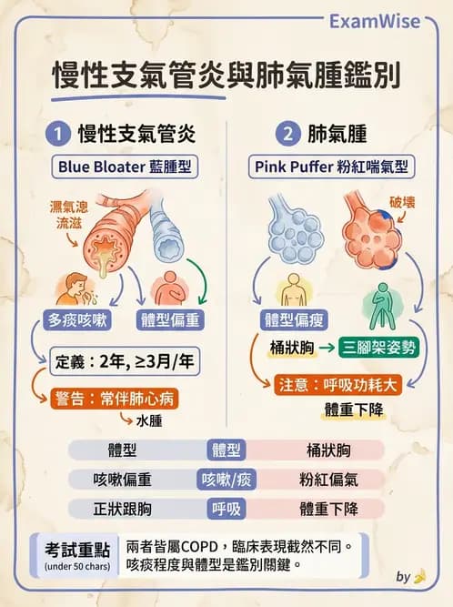 物治 - 阻塞性肺疾病物理治療 - AI 圖文解析預覽