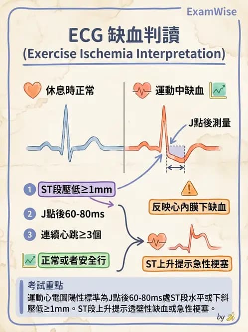 物治 - 心電圖判讀 - AI 圖文解析預覽