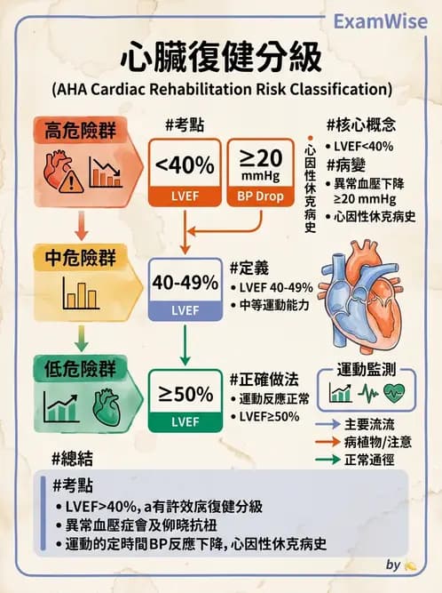 物治 - 心臟復健與運動處方 - AI 圖文解析預覽
