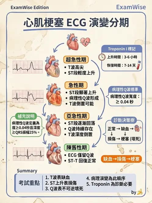 物治 - 冠狀動脈疾病與心臟手術 - AI 圖文解析預覽