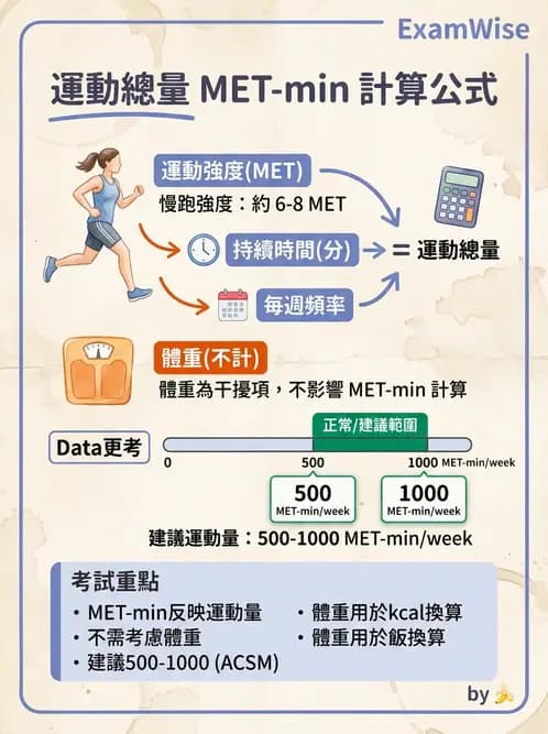 物治 - 運動篩檢與處方設計 - AI 圖文解析預覽