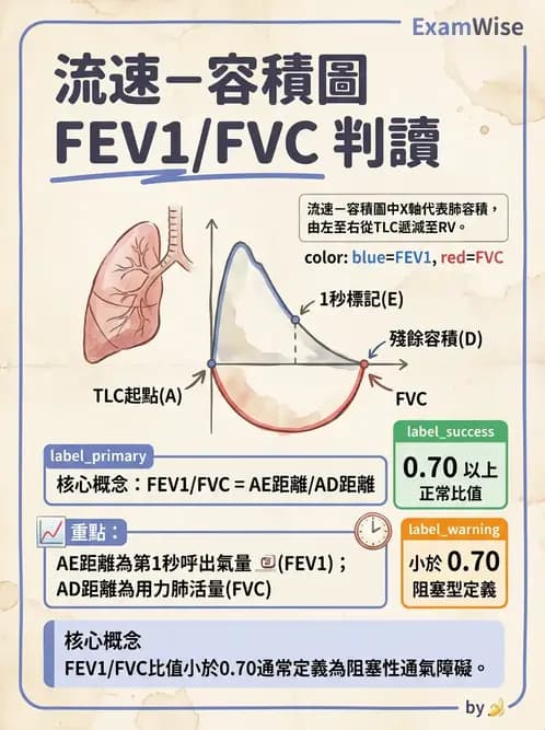 物治 - 肺功能測試與血氣體分析 - AI 圖文解析預覽