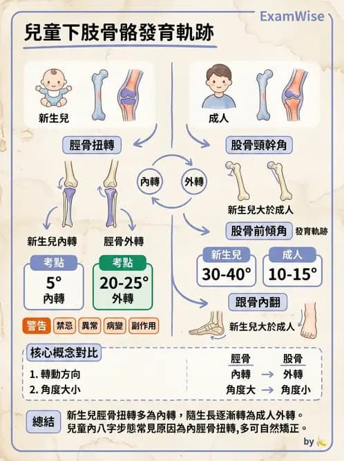 物治 - 小兒肌肉骨骼疾患物理治療 - AI 圖文解析預覽