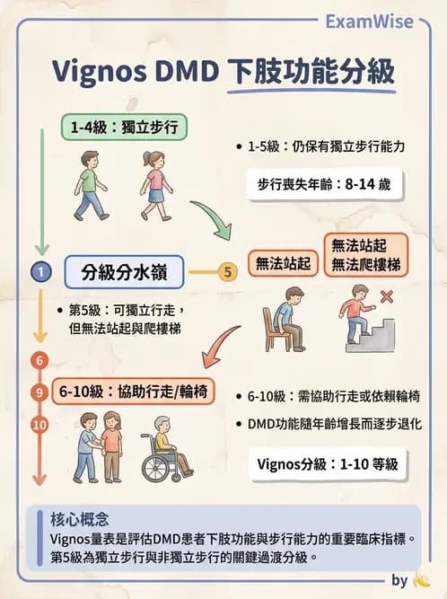 物治 - 脊柱裂、神經肌肉疾病與腦傷 - AI 圖文解析預覽