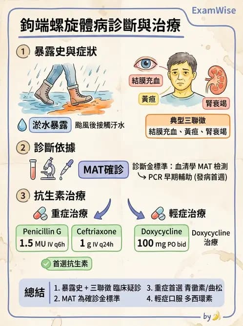 內專 - 特殊病原體、黴菌與人畜共通感染 - AI 圖文解析預覽