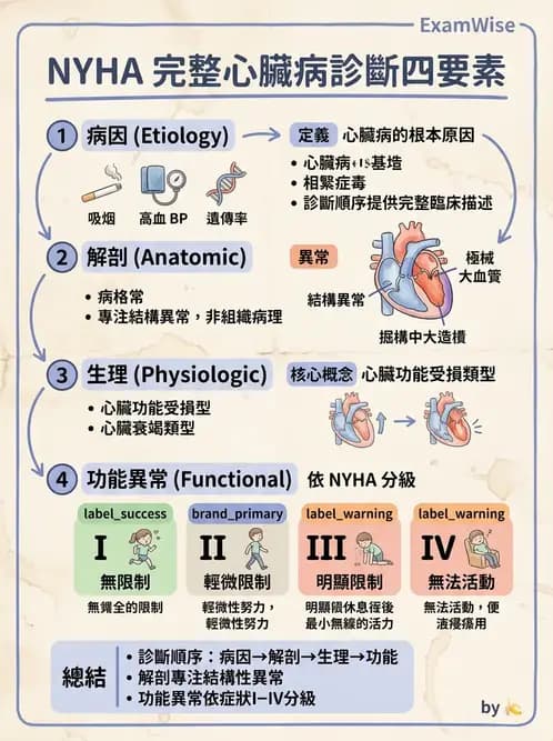 內專 - 瓣膜性心臟病 - AI 圖文解析預覽