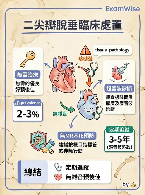 內專 - 瓣膜性心臟病 - AI 圖文解析預覽